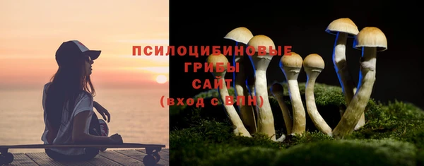 синтетический гашиш Гусиноозёрск
