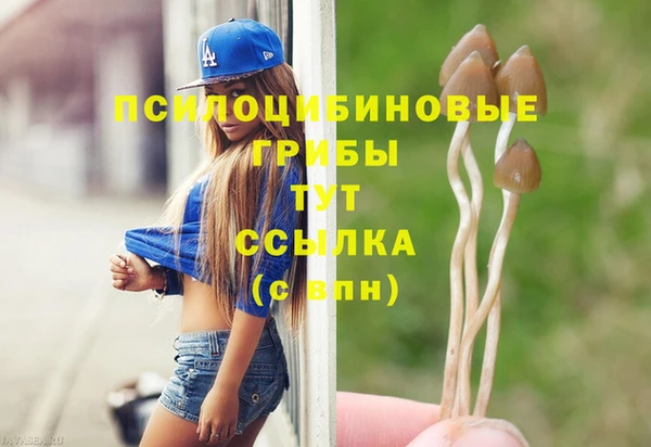 дживик Гусь-Хрустальный