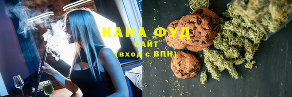 дживик Гусь-Хрустальный
