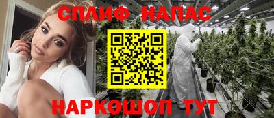 крисы Гагарин