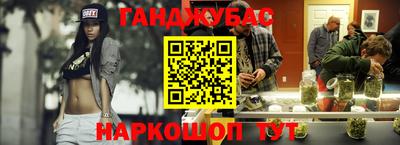 крисы Гагарин