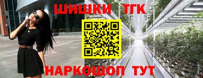 крисы Гагарин