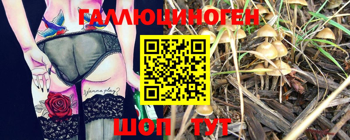 Галлюциногенные грибы прущие грибы  Вход с VPN  Егорьевск 