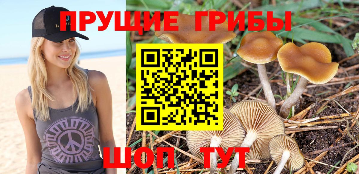 МАРИХУАНА  Alpha PVP СОЛЬ кристаллы  Егорьевск  Мефедрон   Вход с VPN  НБОМе  Экстази  Кокаин  Гашиш  MDMA 